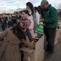 Sant Antoni