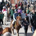 Sant Antoni