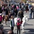 Sant Antoni