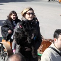Sant Antoni