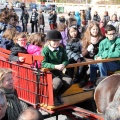 Sant Antoni