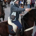 Sant Antoni