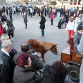 Sant Antoni