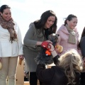 Sant Antoni