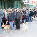 Sant Antoni