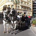 Sant Antoni