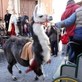 Sant Antoni