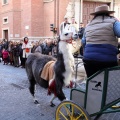 Sant Antoni