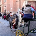 Sant Antoni