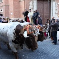 Sant Antoni