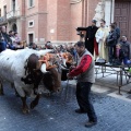 Sant Antoni