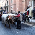 Sant Antoni
