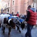 Sant Antoni