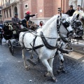 Sant Antoni
