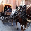 Sant Antoni