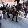 Sant Antoni