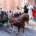 Sant Antoni