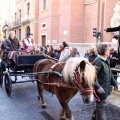 Sant Antoni