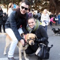 Sant Antoni