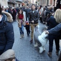 Sant Antoni