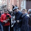 Sant Antoni