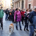 Sant Antoni