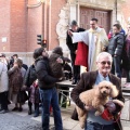 Sant Antoni
