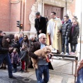Sant Antoni