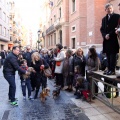 Sant Antoni