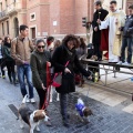 Sant Antoni