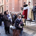 Sant Antoni
