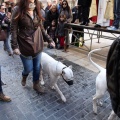 Sant Antoni