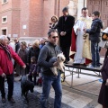 Sant Antoni
