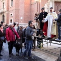 Sant Antoni