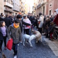 Sant Antoni