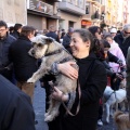 Sant Antoni