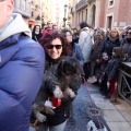 Sant Antoni