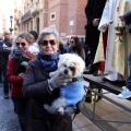 Sant Antoni