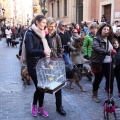 Sant Antoni