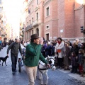 Sant Antoni