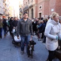 Sant Antoni