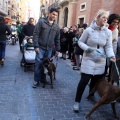 Sant Antoni