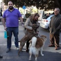 Sant Antoni