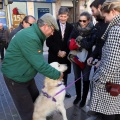 Sant Antoni
