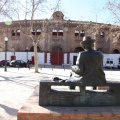 Castellón,  Día Mundial del Árbol, 2015