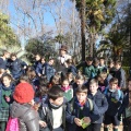 Castellón,  Día Mundial del Árbol, 2015