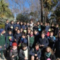 Castellón,  Día Mundial del Árbol, 2015
