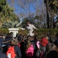 Castellón,  Día Mundial del Árbol, 2015