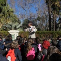Castellón,  Día Mundial del Árbol, 2015