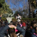 Castellón,  Día Mundial del Árbol, 2015